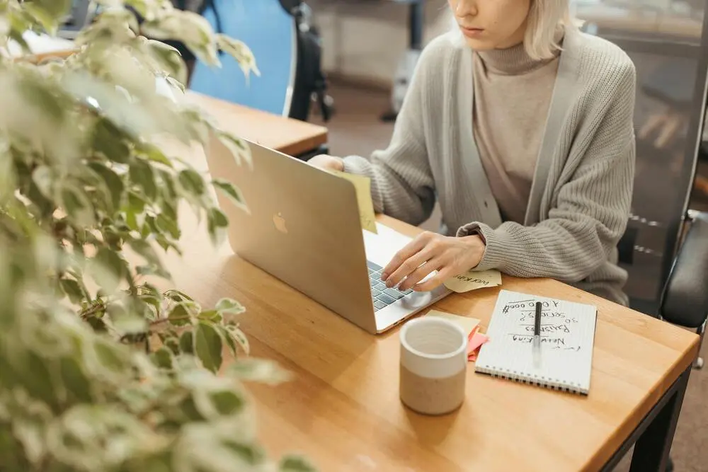 Connexion d'Odoo à une boutique en ligne pour une vente multicanale unifiée